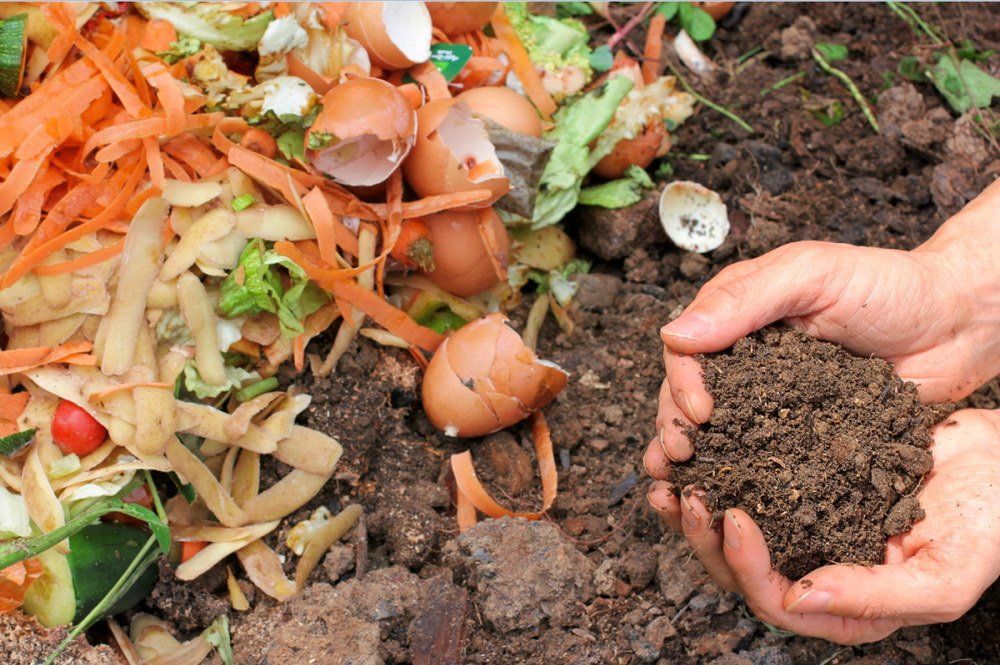 ¿Cómo hacer compost o abono casero?